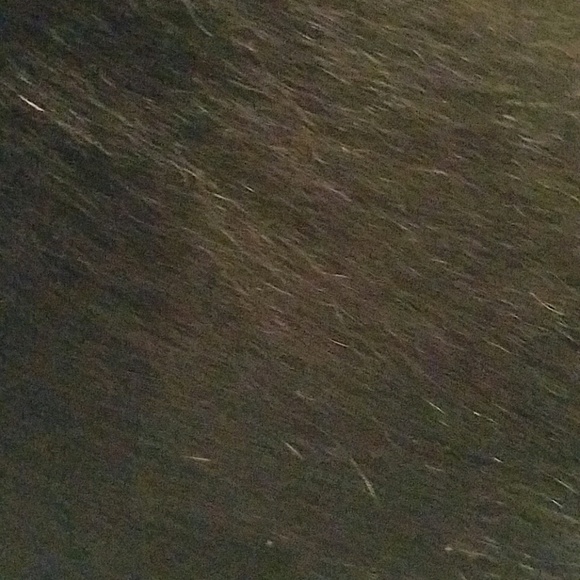 Meet your Posher, Lisa - Picture 1 of 1